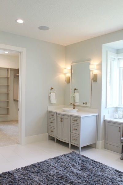 master bath and vanity paint color